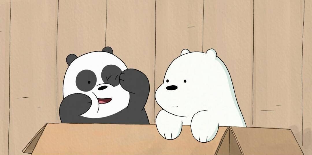 A 2D cartoon illustration of two bears from 'We Bare Bears' sitting inside a brown cardboard box. On the left