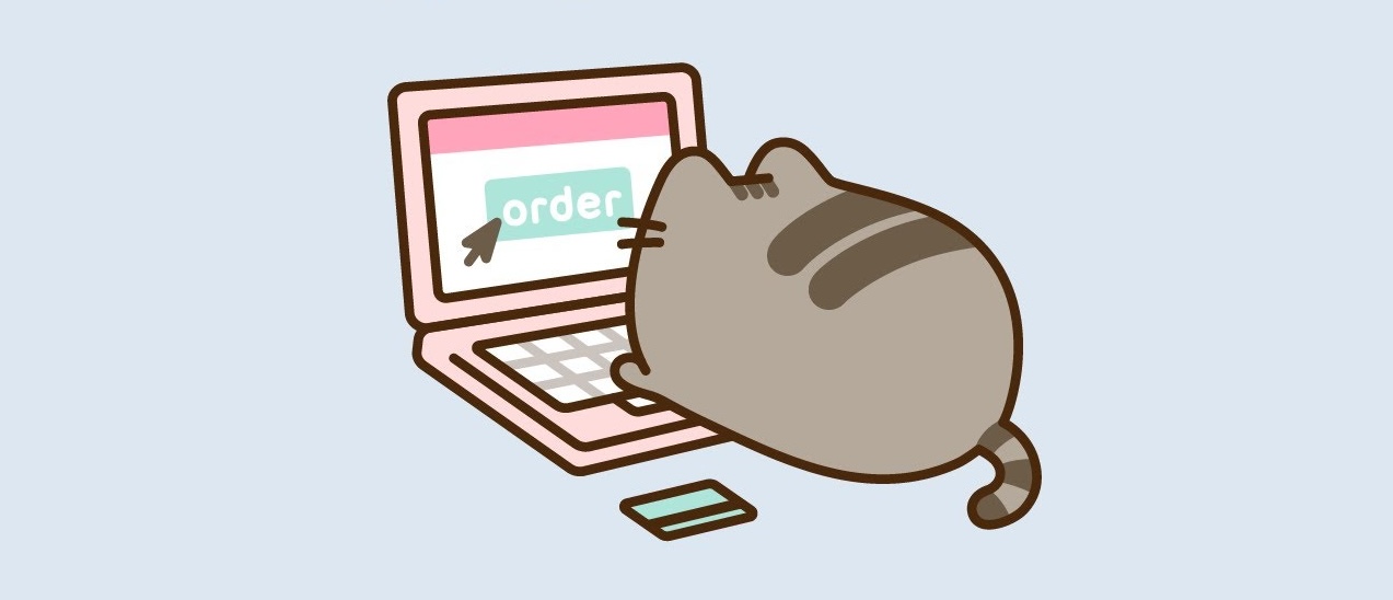 pusheen computer